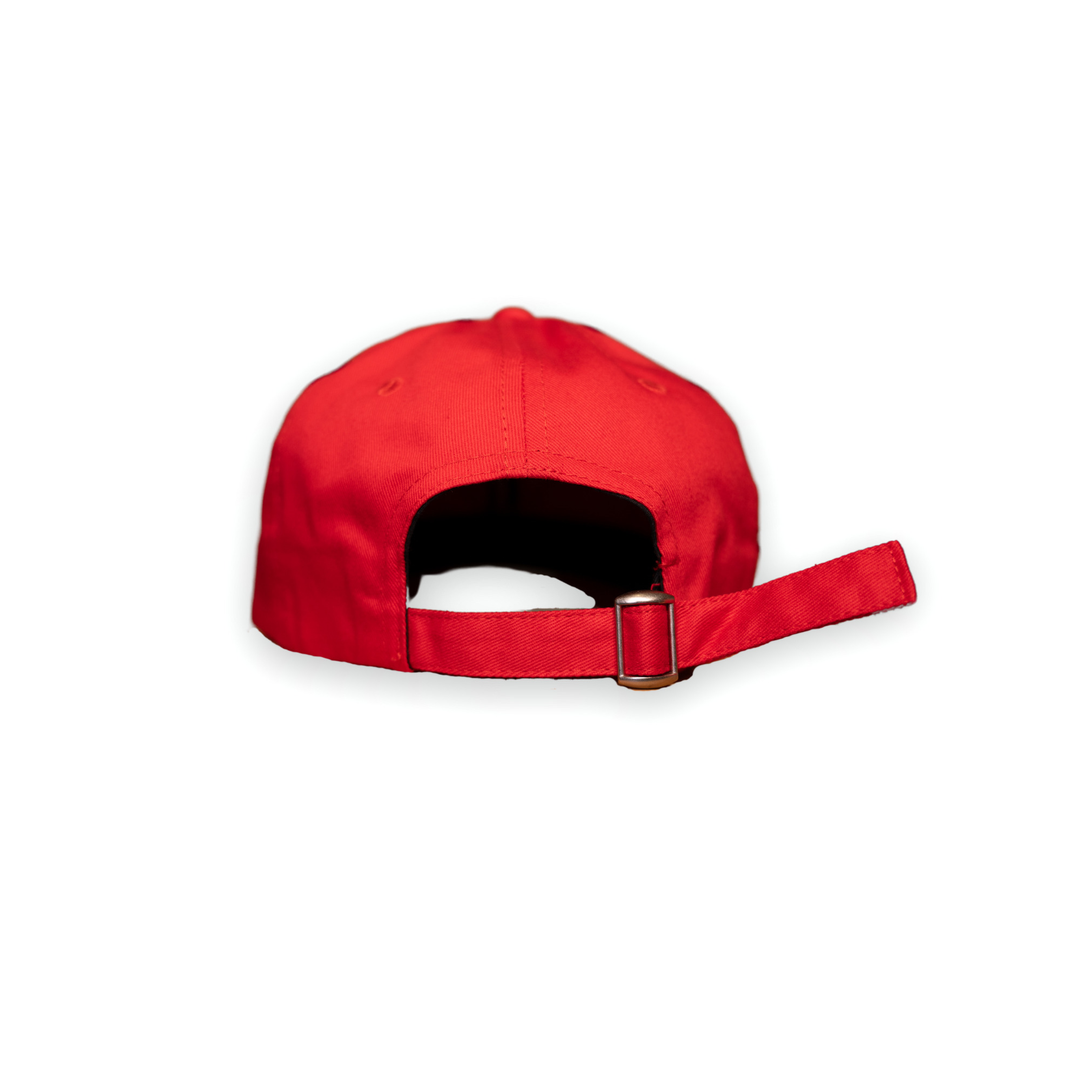 Youngstown State Block Y Dad Hat (Red), view 3 by Youngstown Clothing Co.