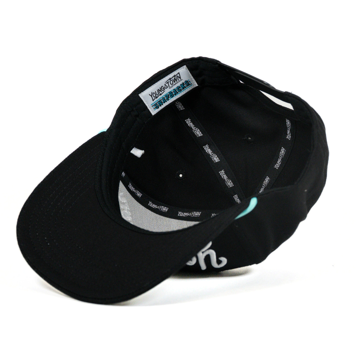 Script Youngstown Snapback hat, view 9 by Youngstown Clothing Co.