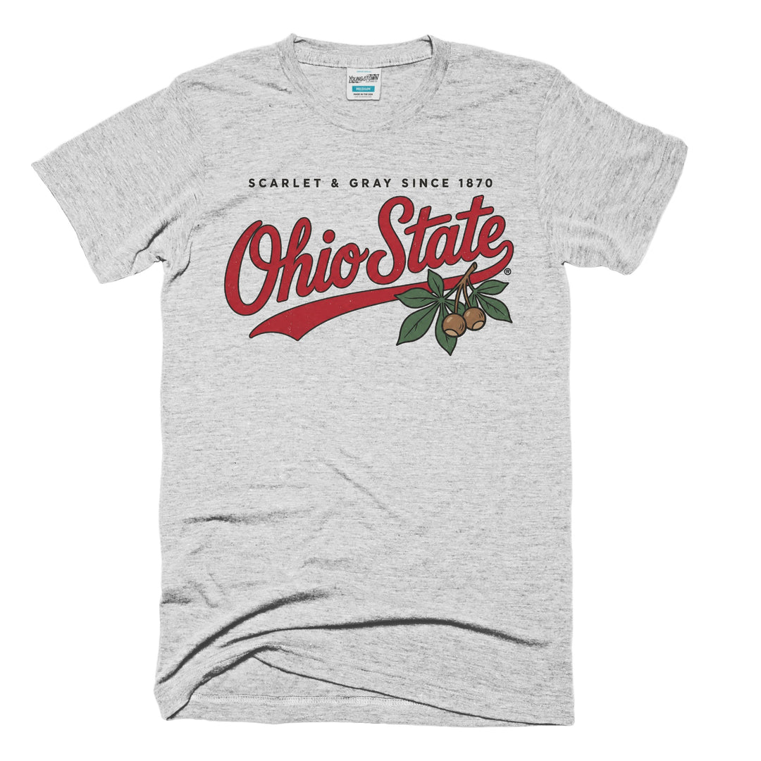 Scarlet & Gray Since 1870 tee in Tri Ash by Youngstown Clothing Co.