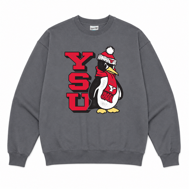 Block Pete College Crew crewneck sweatshirt in Vintage Gray by Youngstown Clothing Co.