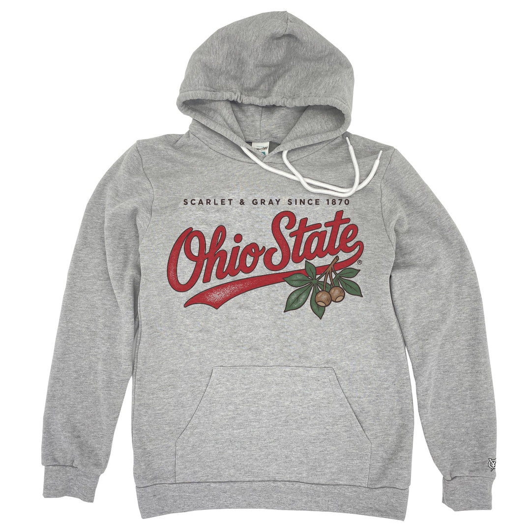 Scarlet & Gray Since 1870 Hoodie in Heather Gray by Youngstown Clothing Co.