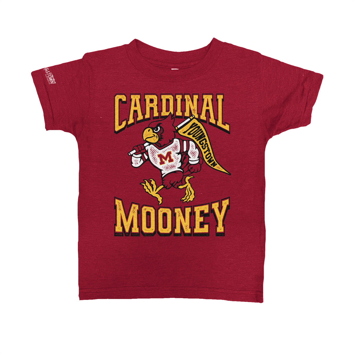 Youngstown Cardinal Mooney | Kids