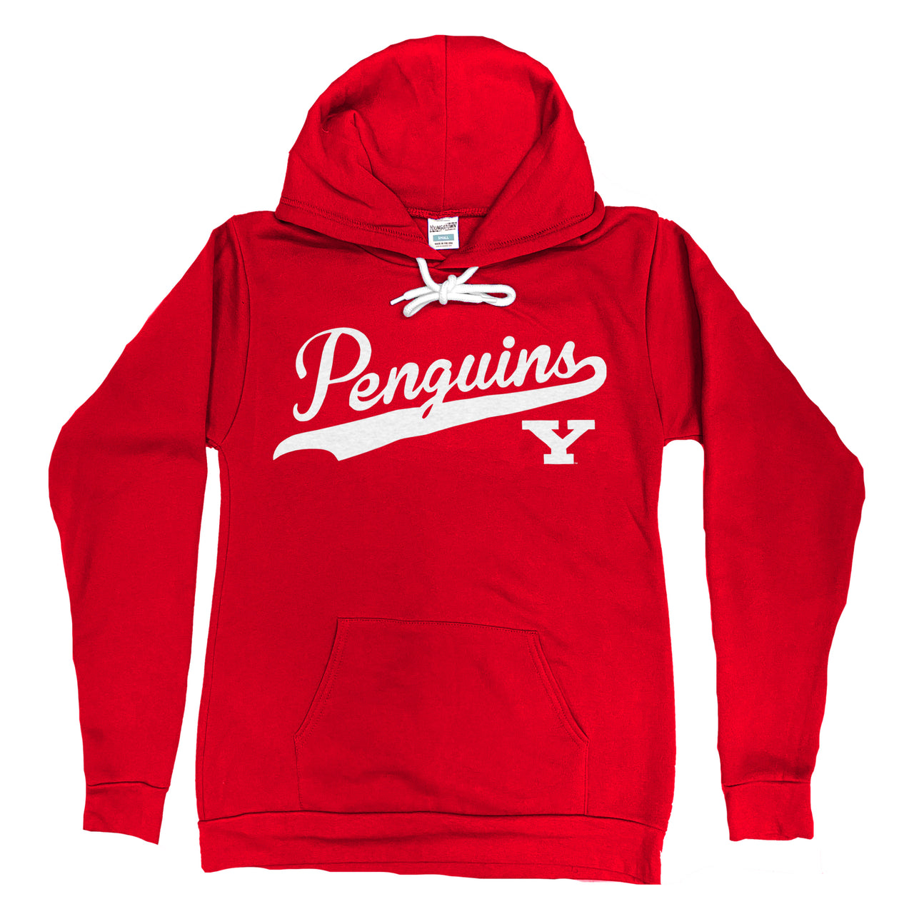 Penguins Script with Block Y Hoodie