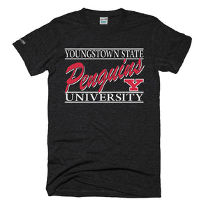 Vintage Youngstown State Penguins Script