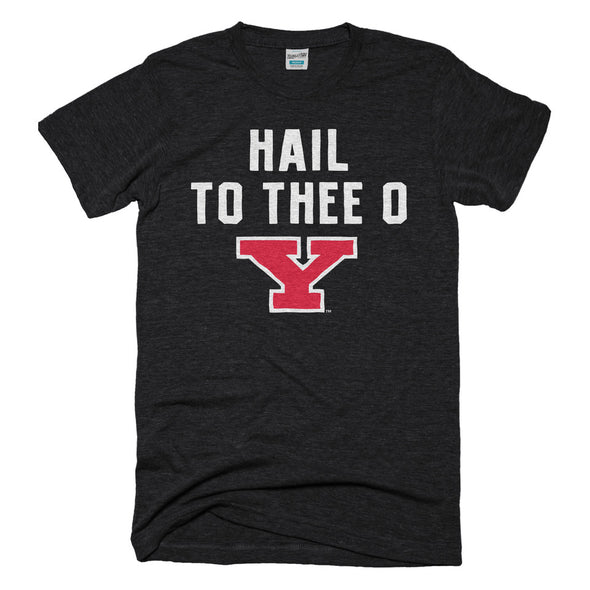 Hail To Thee  O Youngstown